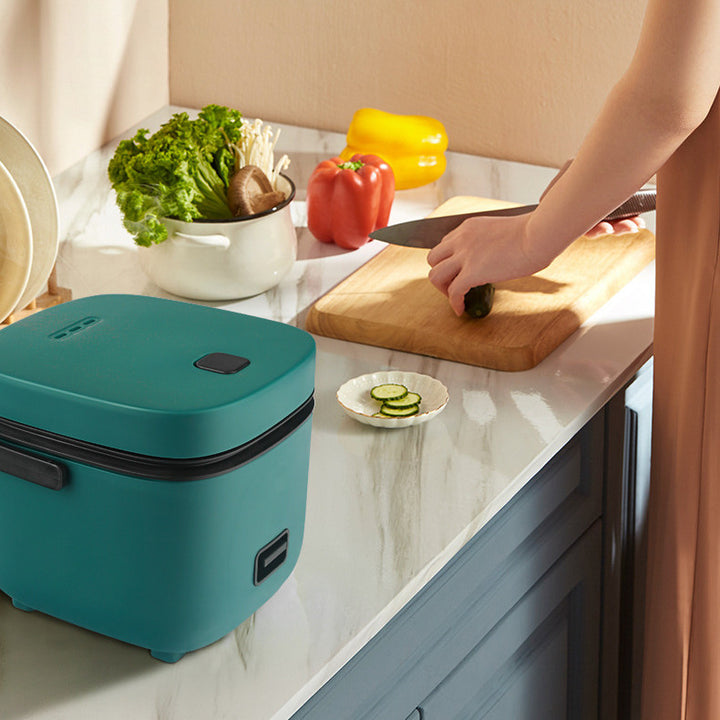 Mini Multifunctional Household Electric Rice Cooker